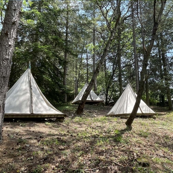 Indiana Cotton tent pitched in a forest setting.